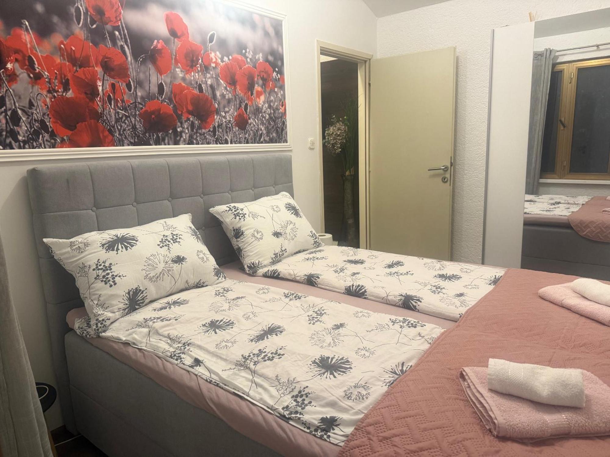 Apartmani Milokanovic Фунтана Экстерьер фото